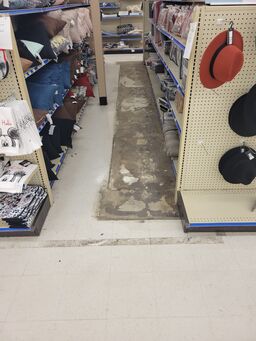 Commercial Floor Cleaning in Cleveland, OH (1)